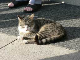 Resize of P1030761.JPG